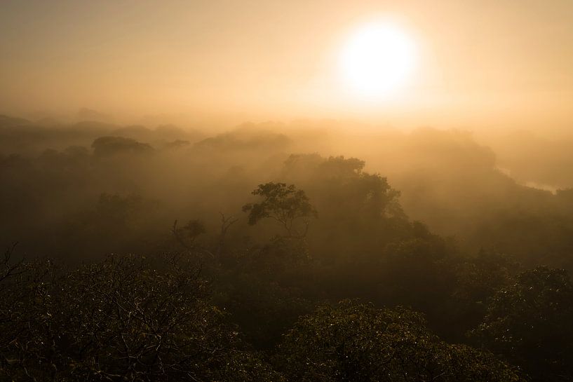 Zonsopkomst Pantanal, Brazilie van Leon Doorn