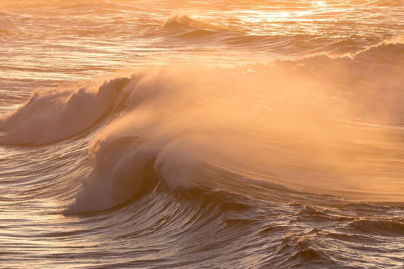 Golden waves by Hetwie van der Putten