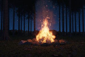 Lagerfeuer in mitten von Nadelbäumen bei Nacht von Besa Art