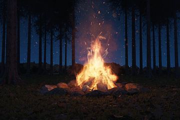 Lagerfeuer in mitten von Nadelbäumen bei Nacht von Besa Art