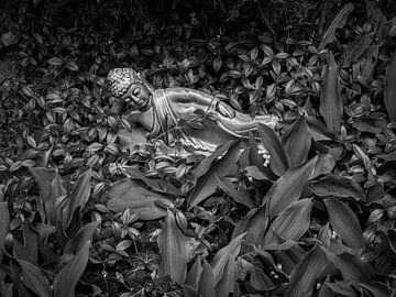 Buddha-Statue zwischen Blättern von Jack Tummers