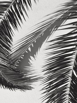 Black and white photo palm tree leaf by Dagmar Pels