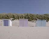 Strandhäuser auf Texel von Eliane Roest Miniaturansicht
