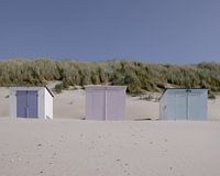 Beach cottages on Texel