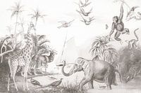 Wilde dieren poster kinderkamer zwart wit