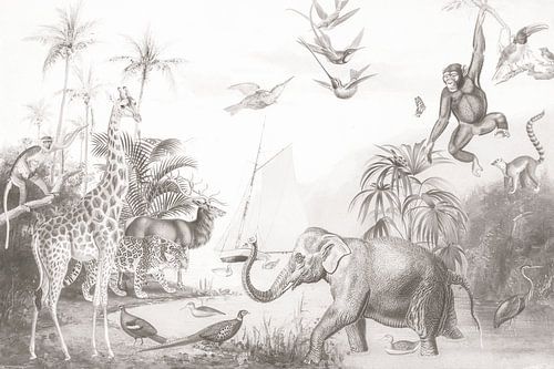 Wildlife Poster Kinderzimmer schwarz und weiß