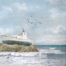 On Dry Land by Iris van Heusden