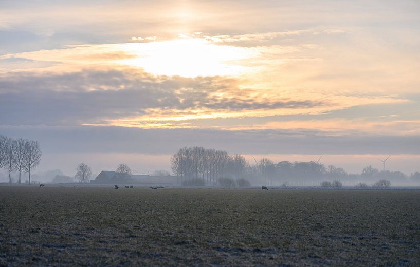 winter sunrise by Tania Perneel