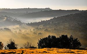 Brume matinale du Val d'Orcia, Toscane.