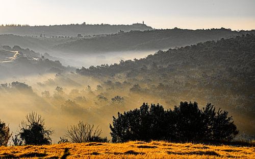 Ochtendnevel Val d'Orcia, Toscane.