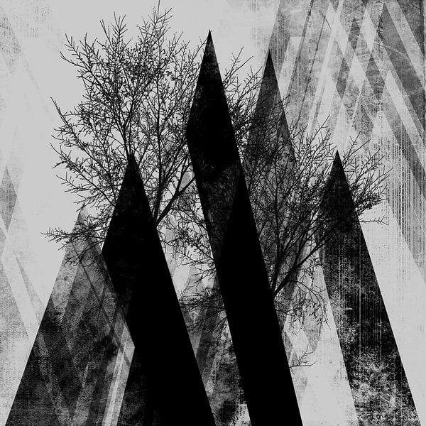 Trees V van Pia Schneider