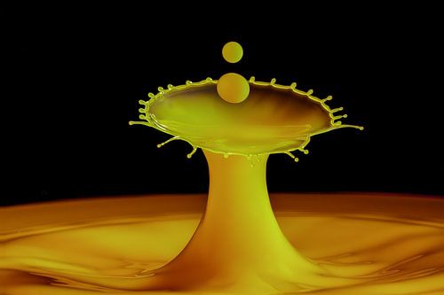 Die wunderbare Welt der Splash-Fotografie".