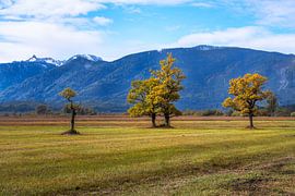 The Murnauer Moos and the Alps by ManfredFotos