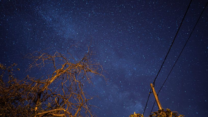 stars von Bjorn Brekelmans