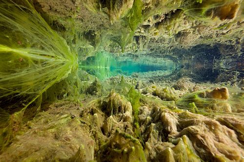Onderwaterlandschap