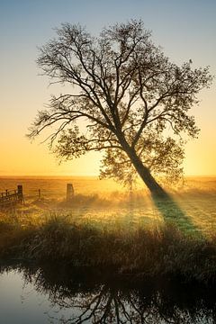 Sunrise on misty autumn morning by Martin Bredewold