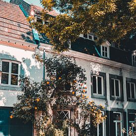 Idyllic cottage in Maastricht by Lizanne van Spanje