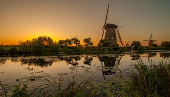 Goldener Kinderdijk Pano