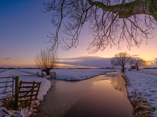 Een mooie gloed in de lucht over een winterlandschap bij Noordel