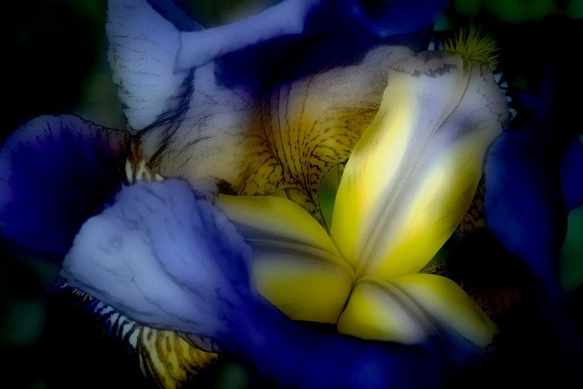 Colours in Motion by Bart Uijterlinde