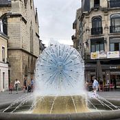 davey broerse photo de profil