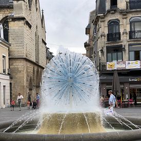 davey broerse Profilfoto