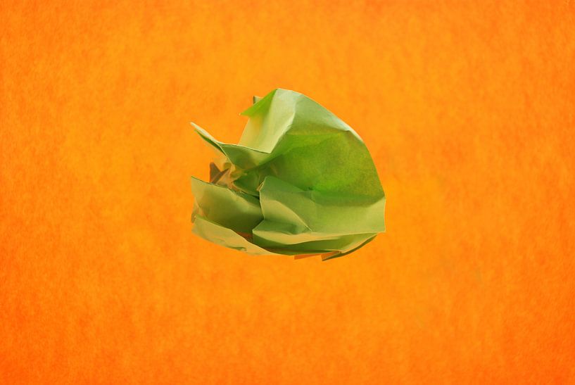 orange green by Brigitte van Ark