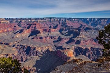 Grand Canyon, Arizona, Amérique sur Discover Dutch Nature