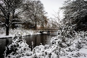 Winter-Wunderland von Anouk Snijders