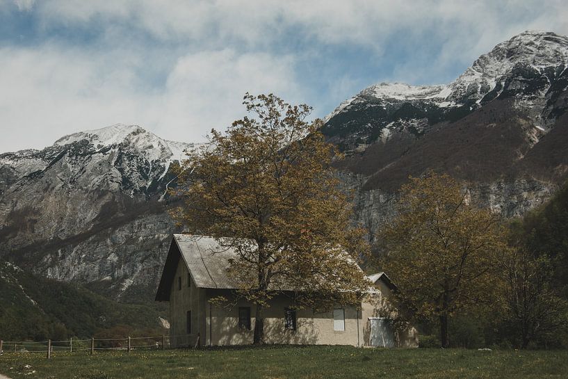 Ferme de fromage par Paulien van der Werf