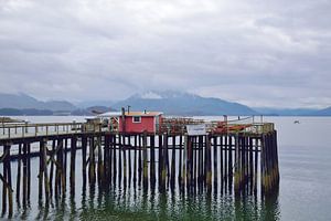 Das alte Dock der Konservenfabrik