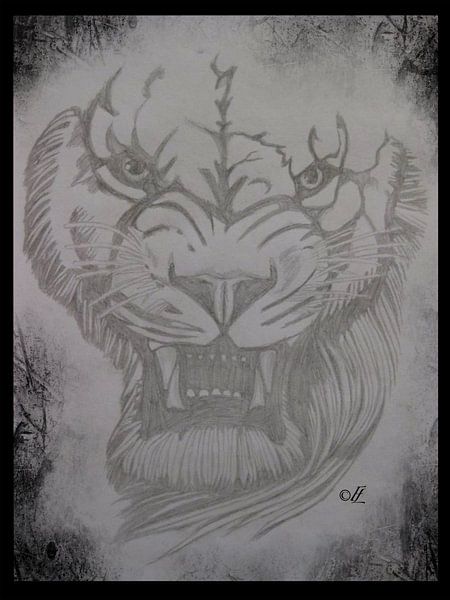 The Cranky Lion by Felicia Lyin