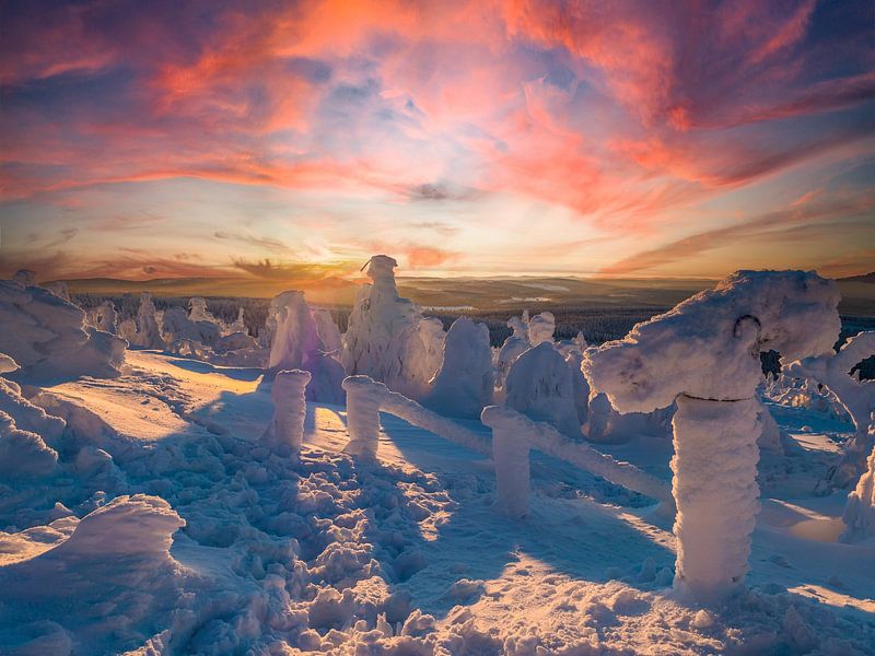 Wintermärchen am Fichtelberg in Sachsen von Animaflora PicsStock