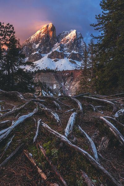 Dolomieten peitlerkofel alpengloren van Jean Claude Castor
