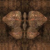 Autumn as entomology specimen