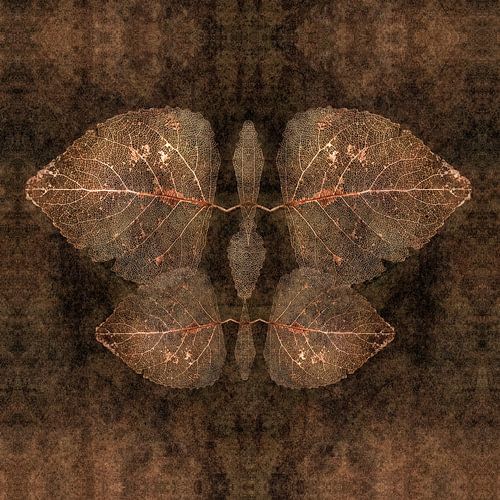 L'automne comme objet entomolgique