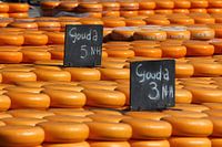 Gouda for sale