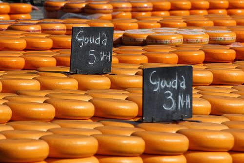 Gouda for sale
