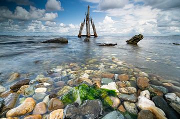 Adlerkopf im Grevelingensee, Zeeland von Fotografiecor .nl