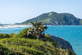 Küstenbrücke und Wellen – Dramatische Meereslandschaftsfotografie