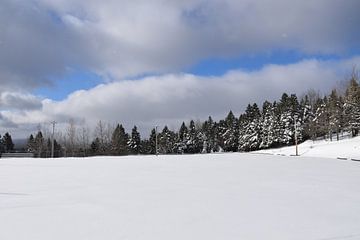 Het recreatiegebied in de winter van Claude Laprise