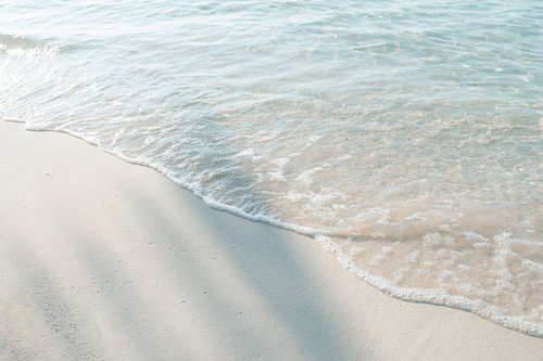 Schatten eines Palmenblatts am Strand | Reisefotografie Druck | Malediven