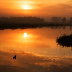 Zonsopkomst sur Paul Roelofs Fotografie