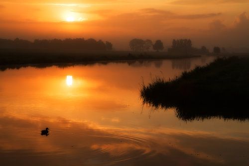 Zonsopkomst