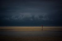 Texel