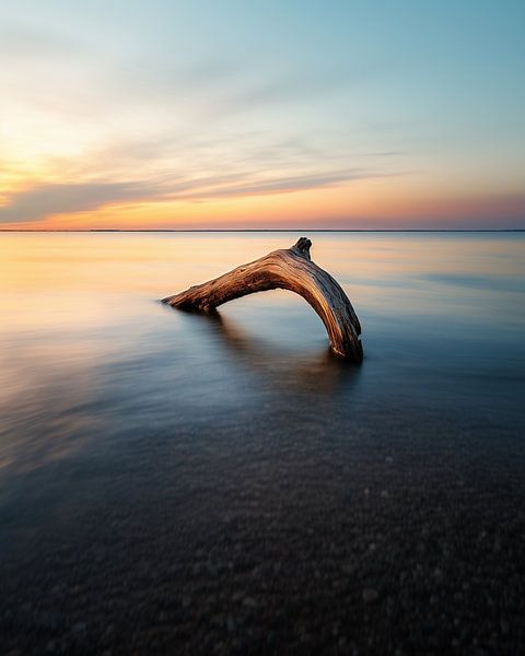 Magie des Augenblicks von fernlichtsicht