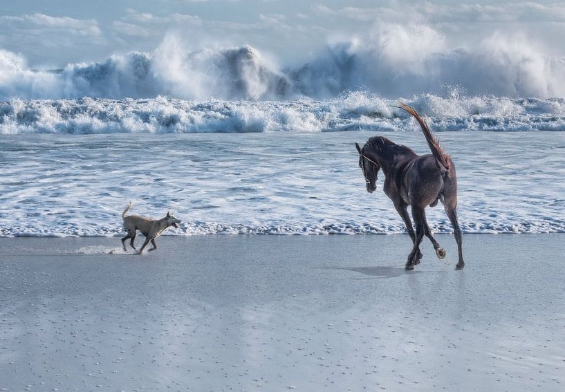 Paard en hond rennend bij zee  van Marcel van Balken