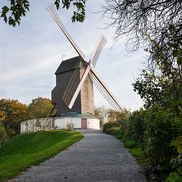 Windmühlen von Brügge, Flandern, Belgien