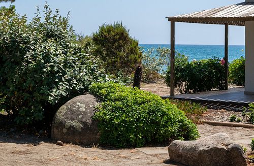 Coast of the Mediterranean Corsica island with house and plants on the beach