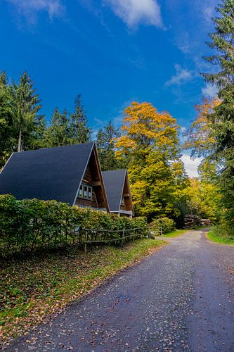 Randonnée automnale à travers la forêt de Thuringe